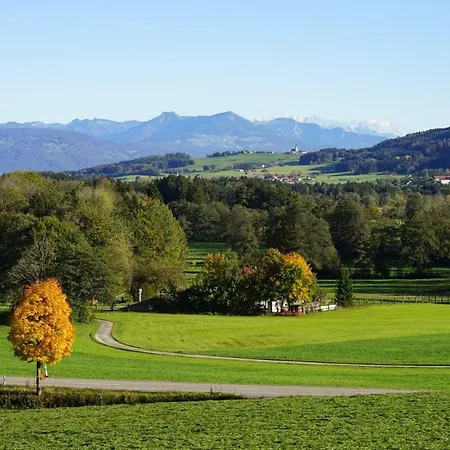 Apartament Mit Grossem Panoramafenster