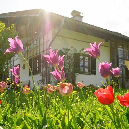 Apartmán Mit Grossem Panoramafenster Teisendorf